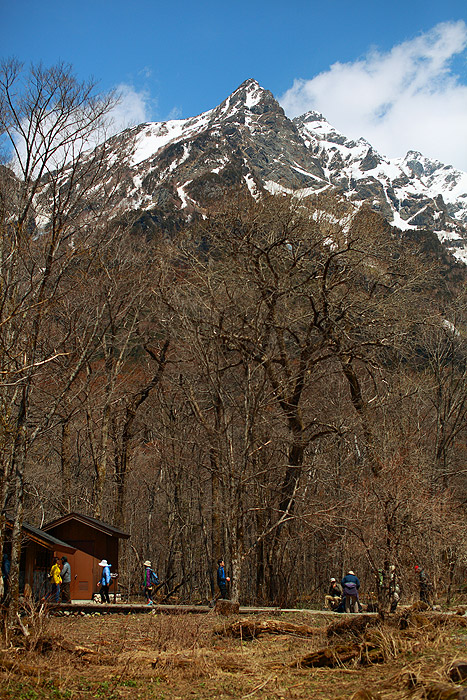 a0148606_133558.jpg