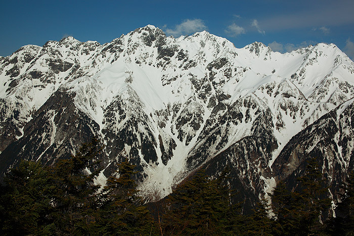 a0148606_134259.jpg