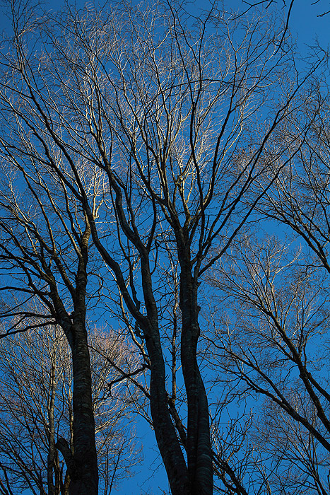 a0148606_15474985.jpg
