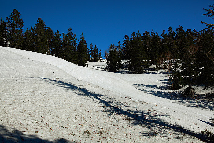 a0148606_15502043.jpg
