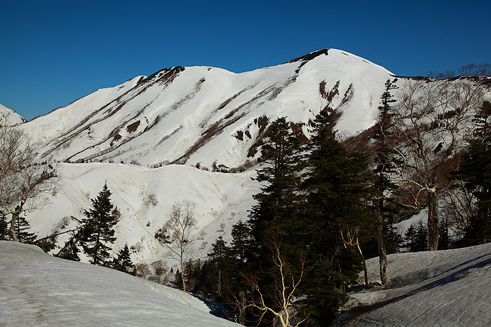 a0148606_15513377.jpg