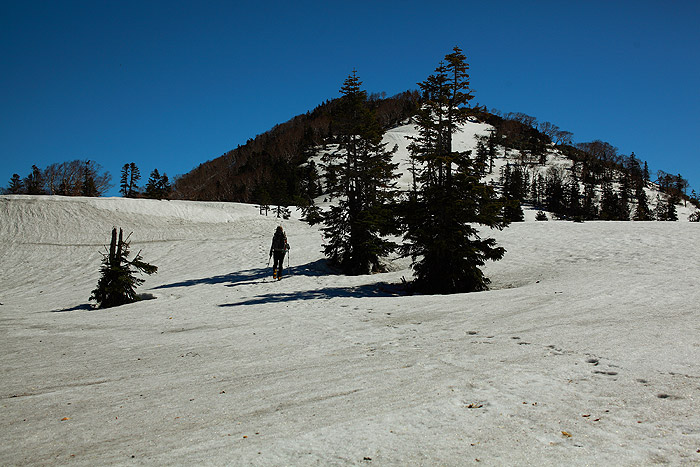 a0148606_15522631.jpg