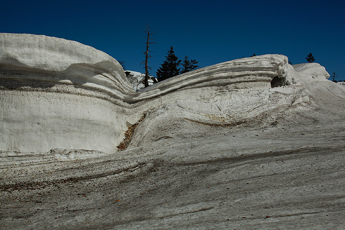 a0148606_1552556.jpg