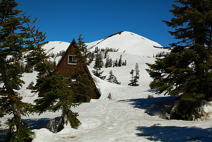 a0148606_15542691.jpg