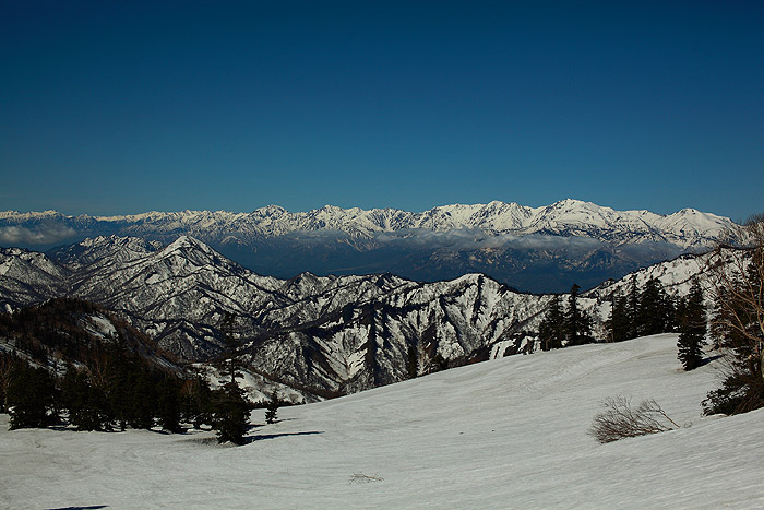 a0148606_1554991.jpg