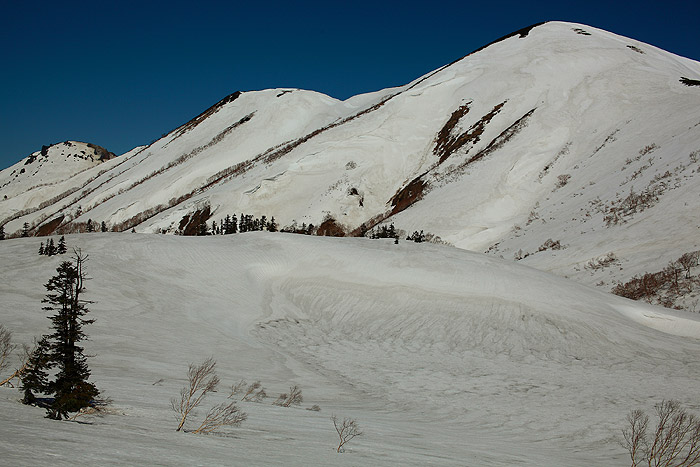 a0148606_15551598.jpg
