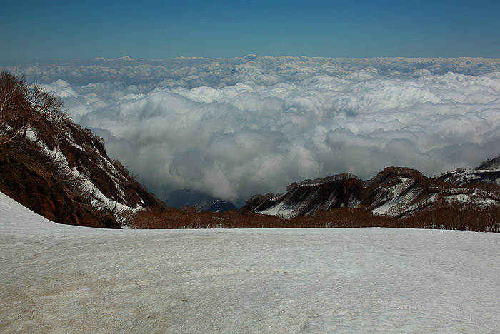 a0148606_15564546.jpg