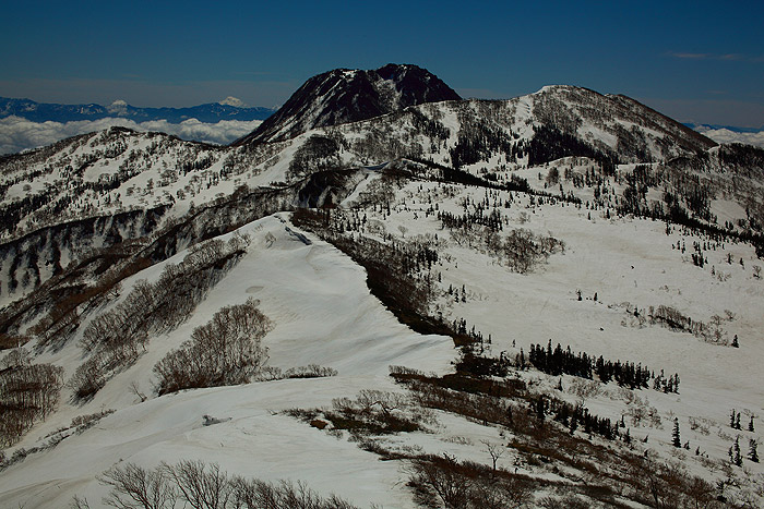 a0148606_15572921.jpg