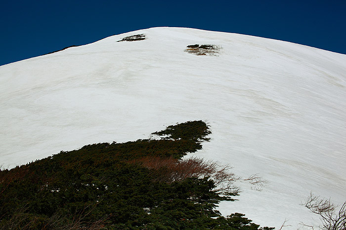 a0148606_1558418.jpg