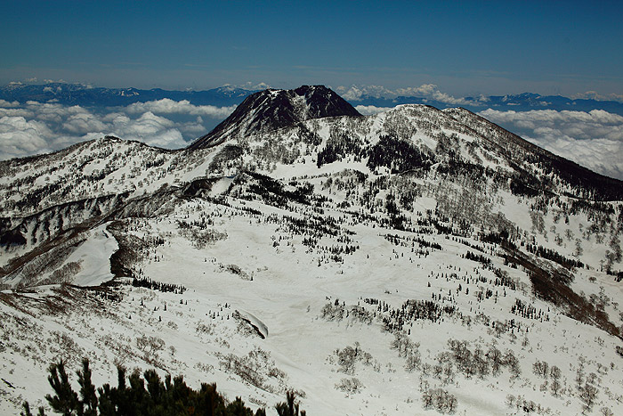 a0148606_1613883.jpg