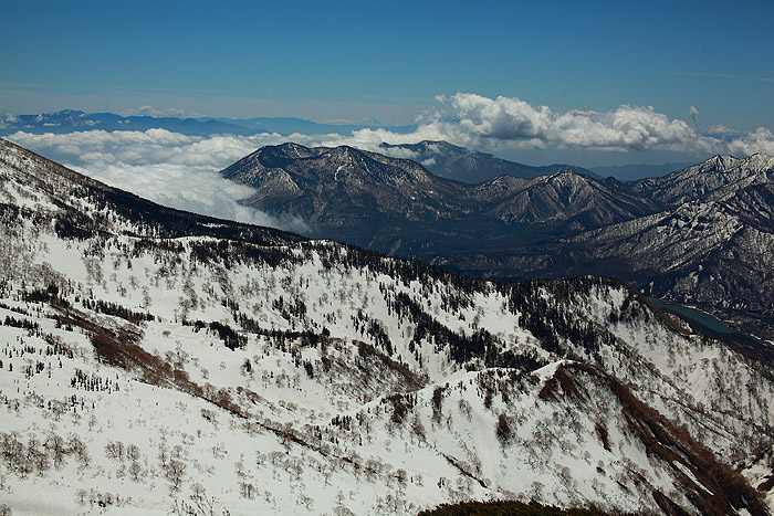 a0148606_1621461.jpg