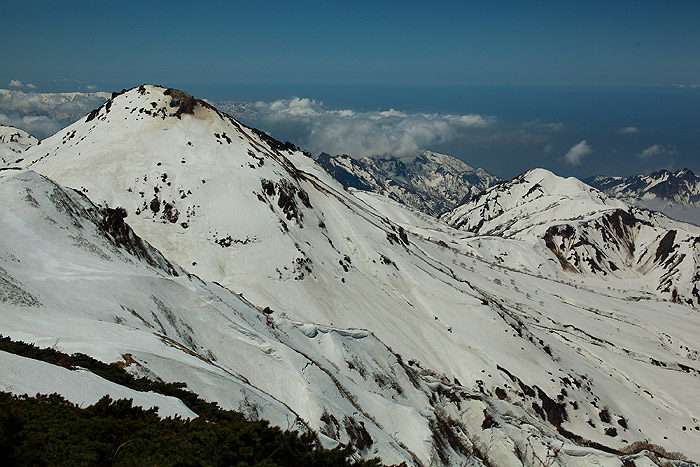 a0148606_16316100.jpg