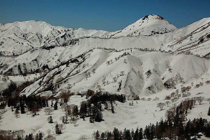 a0148606_1682623.jpg