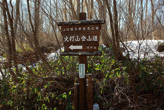 a0148606_1691215.jpg