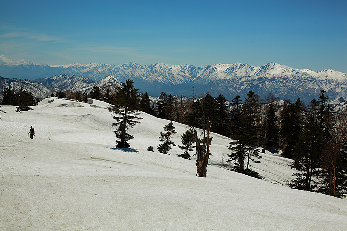 a0148606_169611.jpg