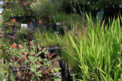a0139007_18245793.jpg