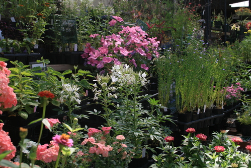 a0139007_1825383.jpg
