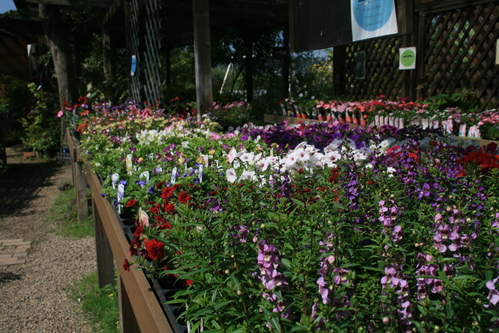 a0139007_1841470.jpg