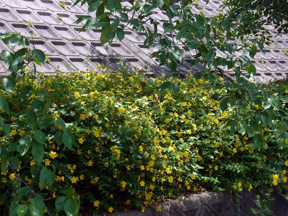 e0083517_22451683.jpg