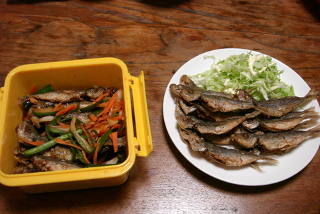 d0250123_20424241.jpg