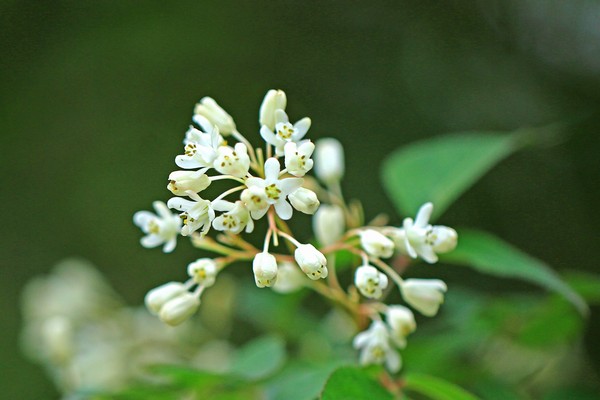 c0104227_9315249.jpg