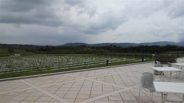 b0102728_17193463.jpg