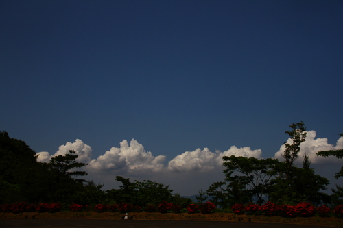 d0158028_19442944.jpg