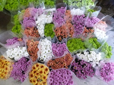 e0120932_12293175.jpg