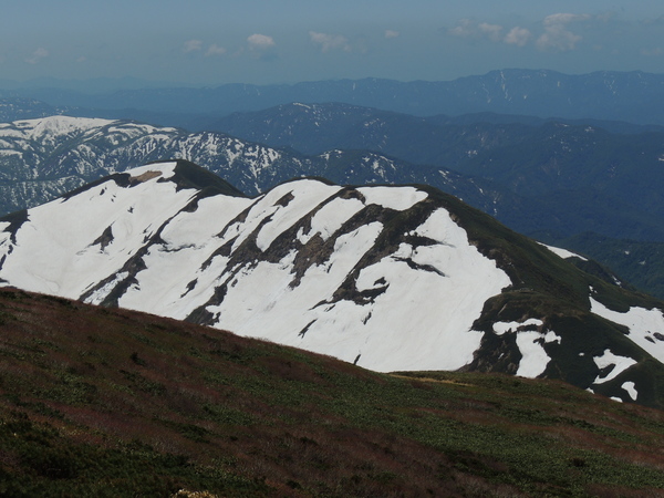 f0118332_225449.jpg