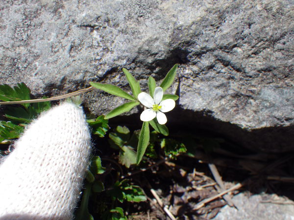 f0118332_22593377.jpg