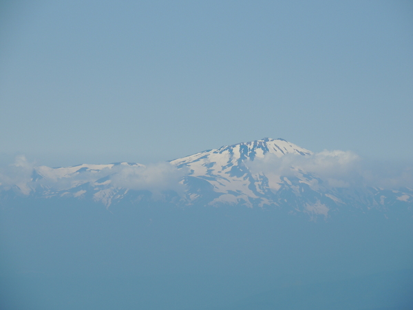 f0118332_23345030.jpg