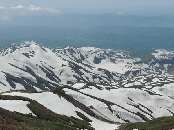 f0118332_23352433.jpg