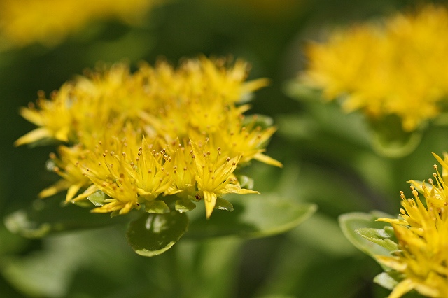 a0242438_20205577.jpg