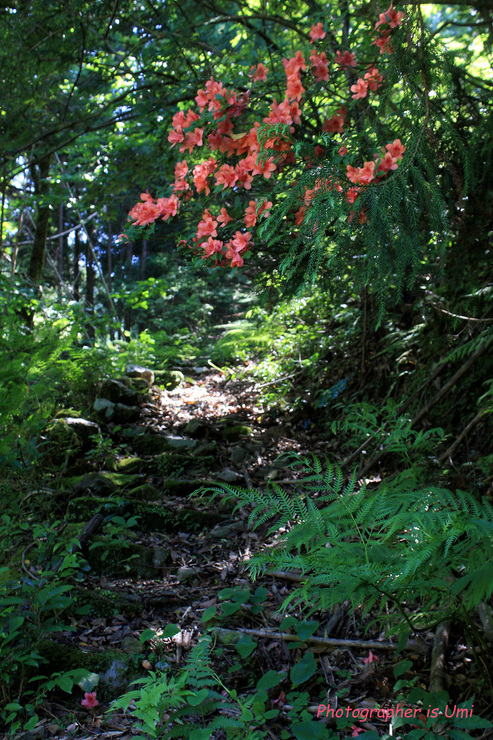 e0083238_2310645.jpg