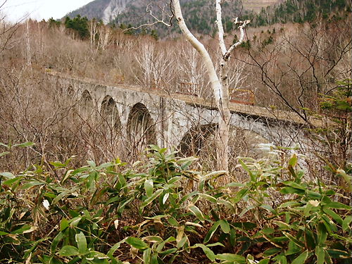 e0022839_23384026.jpg
