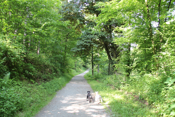 c0153740_149230.jpg
