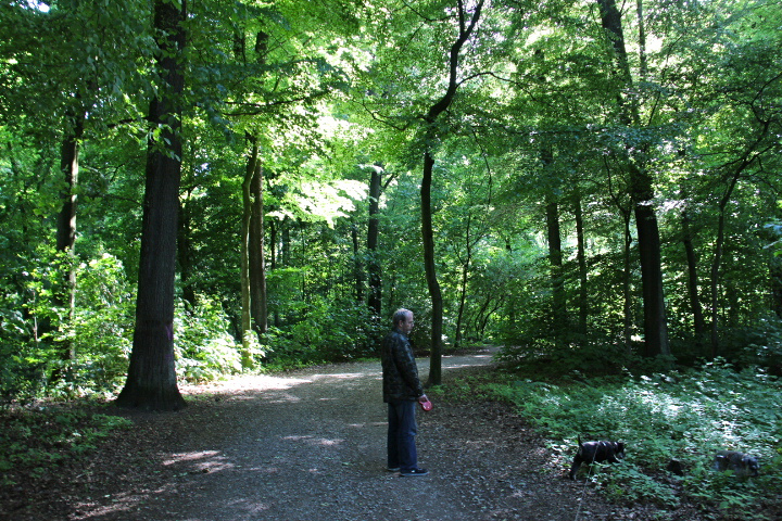 c0153740_1495339.jpg