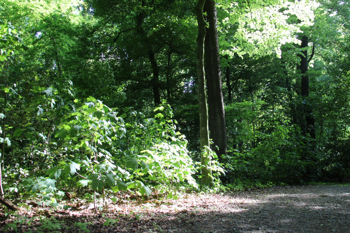 c0153740_1501958.jpg
