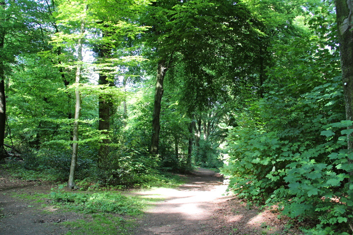c0153740_21612.jpg