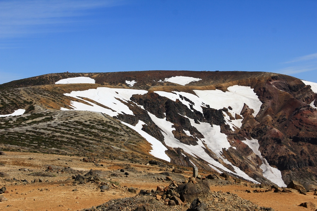 d0132743_2044318.jpg