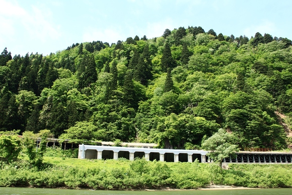 d0132743_20542999.jpg