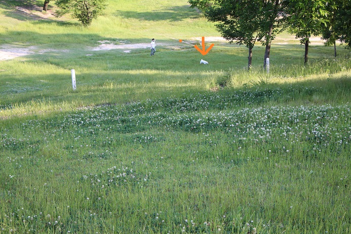 f0245650_857296.jpg