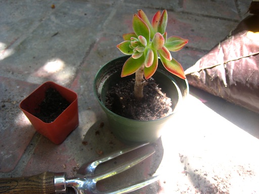 b0200852_133657.jpg