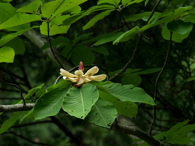 c0194161_23132314.jpg