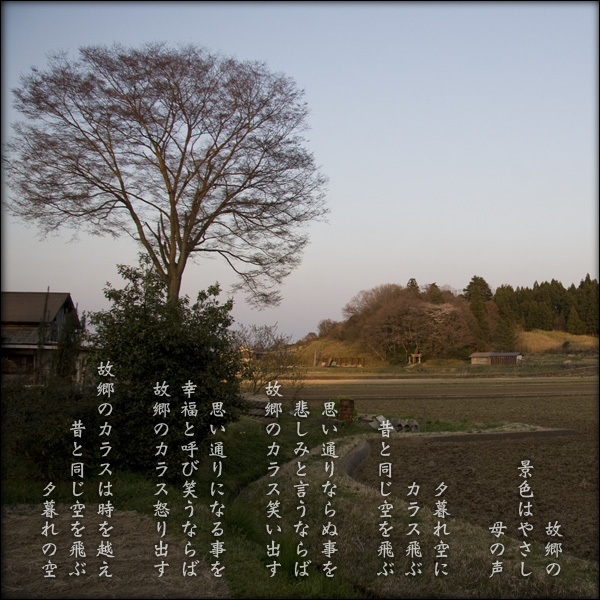 a0197968_19435620.jpg