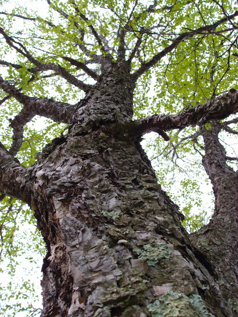 c0122670_0185297.jpg