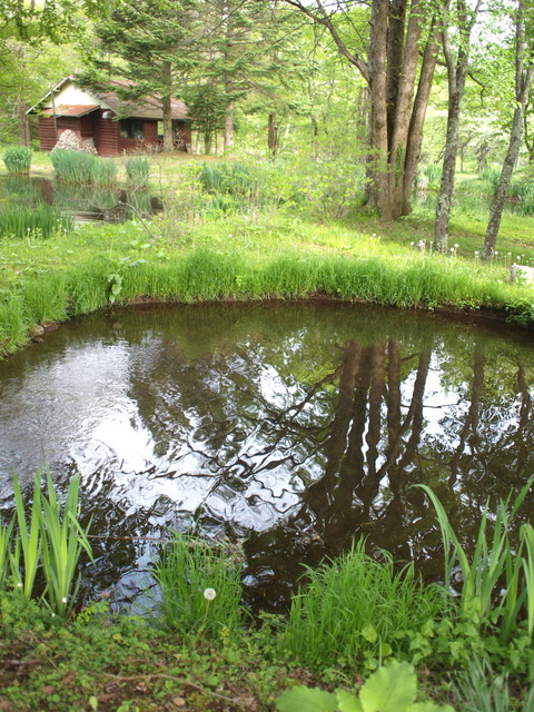 c0122670_02213.jpg