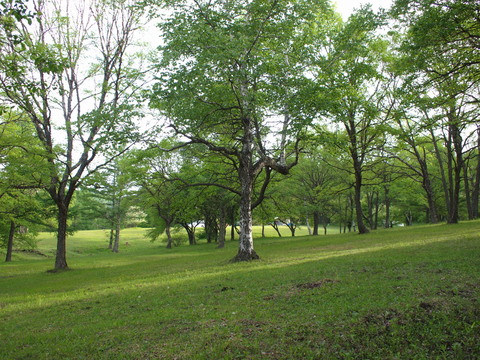 c0122670_031493.jpg