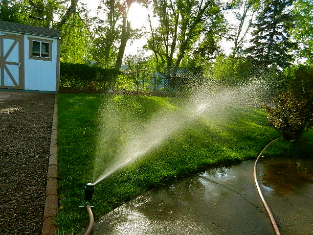 d0260278_12444980.jpg