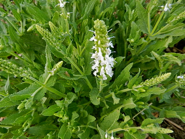 d0260278_13203863.jpg